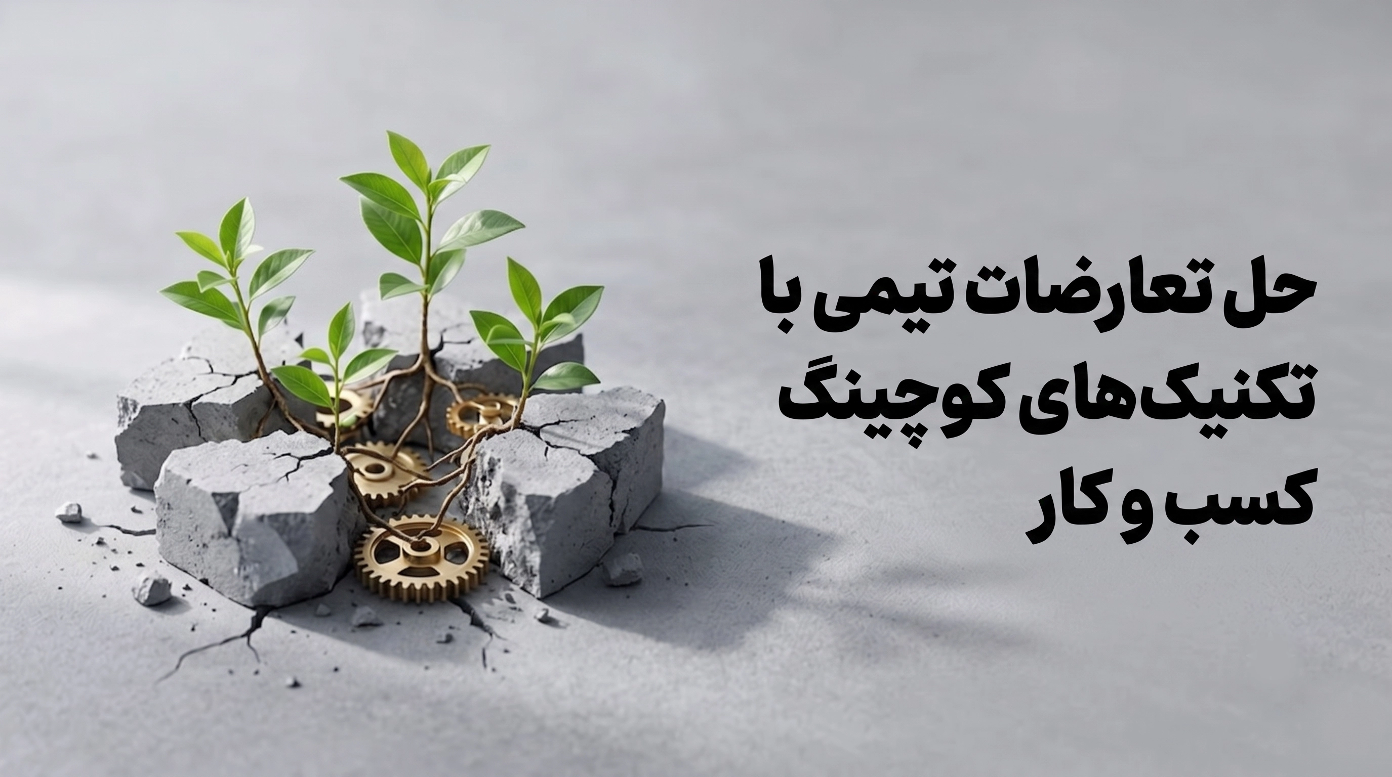 حل تعارضات تیمی